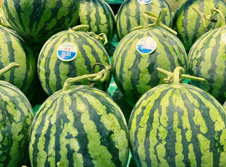 麒麟西瓜