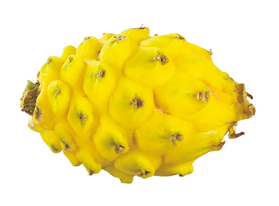 哥伦比亚燕窝果