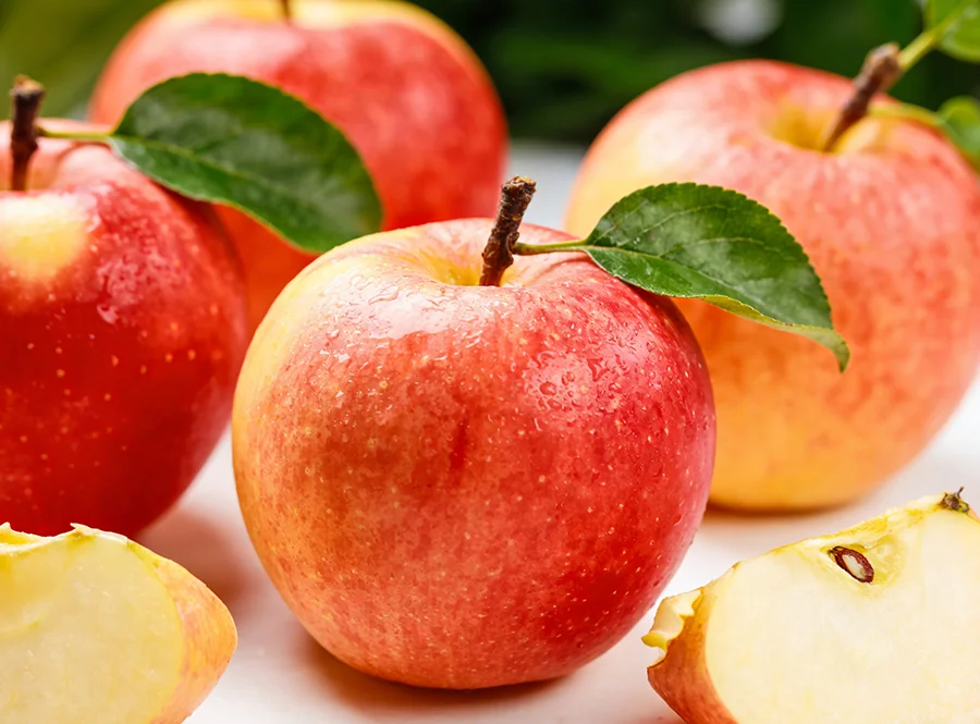 陕西洛川富士苹果